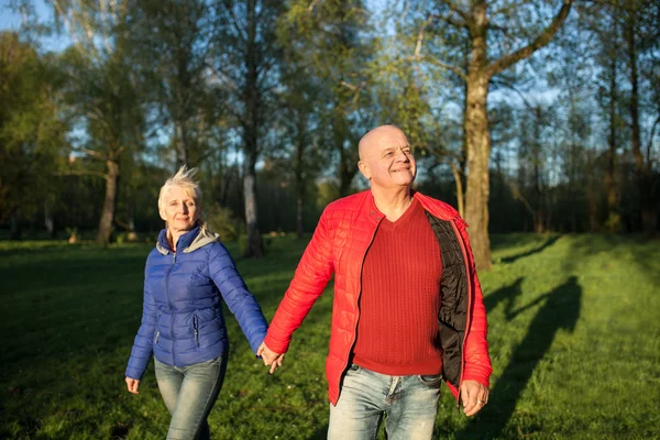 Happy seniors couple hold hands and walk; — Stock Photo, Image