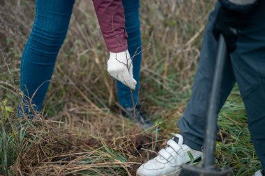 Yeşiller parkında bahçe aletleriyle yeni ağaçlar dikmek