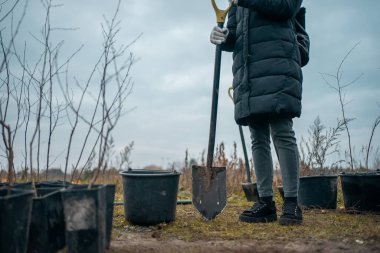 Yeşiller parkında bahçe aletleriyle yeni ağaçlar dikmek
