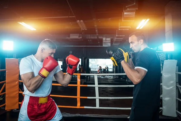 Dva svalové boxeři sportovní muž trénink a boje na boxerském ringu v posilovně — Stock fotografie