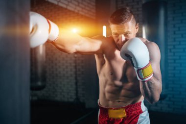 Kas boksörü erkek eğitimini spor salonunda kum torbasıyla tamamlayın.