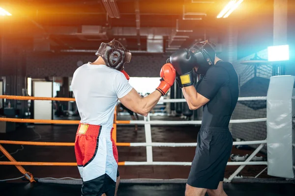 Dva svalové boxeři sportovní muž trénink a boje na boxerském ringu v posilovně — Stock fotografie