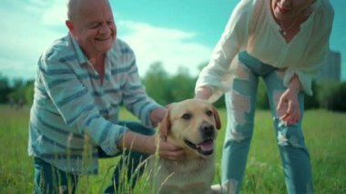 Mutlu yaşlı çift güneşli yaz parkında Labrador Retriever köpeğiyle oynuyor.