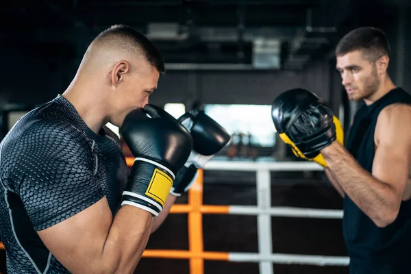 İki kas boksörü spor adamı antrenmanı ve boks ringinde dövüşüyor. — Stok fotoğraf