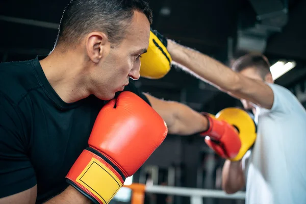 Dva svalové boxeři sportovní muž trénink a boje na boxerském ringu v posilovně — Stock fotografie