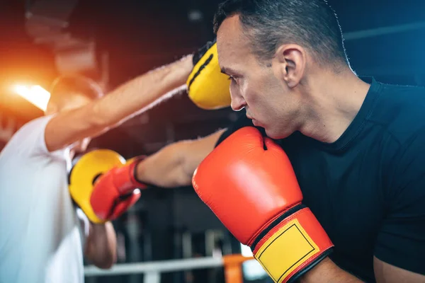 Dva svalové boxeři sportovní muž trénink a boje na boxerském ringu v posilovně — Stock fotografie