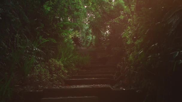 インドネシアのジャングルで古代の石段を背景に — ストック動画