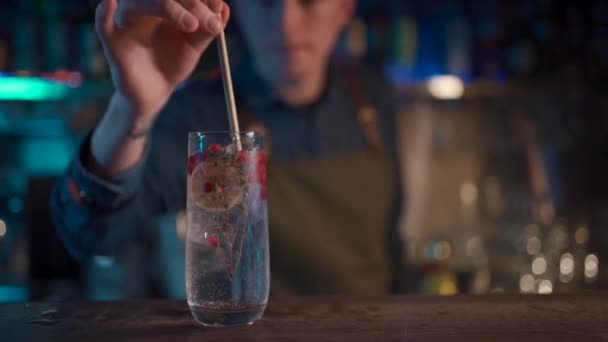 バーテンダーは現代のジン・トニック・カクテルと氷を混ぜ — ストック動画