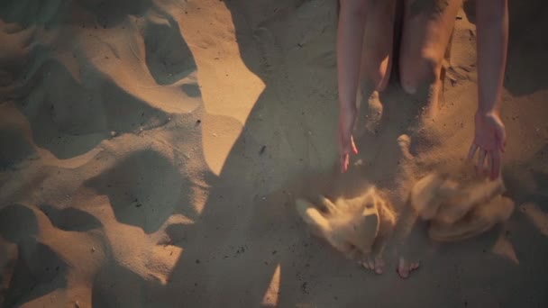 Detailní záběr dítěte hrát nebo pohřben nohy v písku na pláži v létě dovolená — Stock video