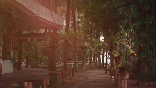 Tiro constante de hotel vazio entre palmeiras tropicais em Bali — Vídeo de Stock