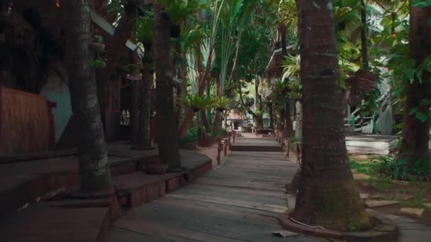 Stálý záběr prázdného hotelu mezi tropickými palmami na Bali — Stock video