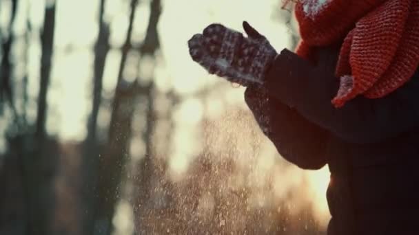 Närbild av kvinnliga händer i vantar klappar och leka med snö i vinterparken — Stockvideo