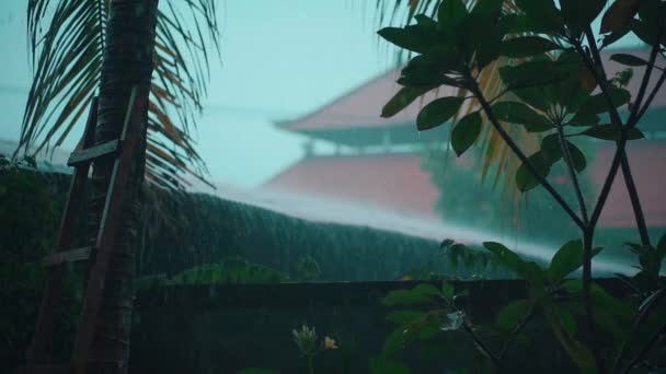 Câmera lenta de chuva tropical asiática com templo no fundo — Vídeo de Stock