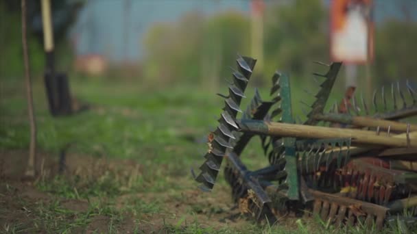 Plantación de árboles nuevos con herramientas de jardinería en el parque verde — Vídeo de stock