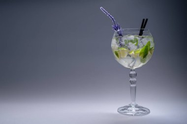 Hugo kokteyli ya da naneli mojito, limon ve buzlu beyaz arka planda şarap kadehi.