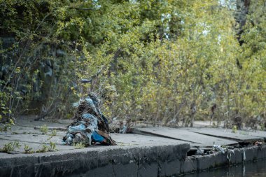 Çöp, plastik torbalar ve atıklar İlkbahar 'dan sonra endüstriyel şehir nehrinde