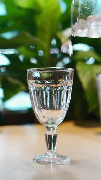 Primer plano de la preparación bebida de cóctel frío y poner cubitos de hielo en vidrio de copa — Vídeo de stock
