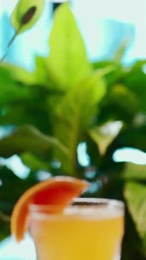 Cam ve bulanık arkaplanlı greyfurtlu tropik kokteyl içeceği.