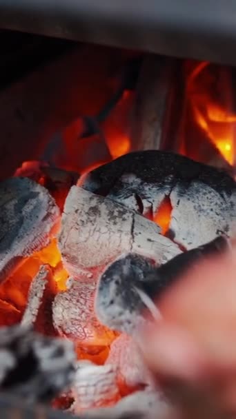 Closeup dari persiapan daging shashlik panggang pada tusuk sate pada panggangan barbekyu — Stok Video