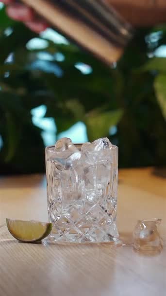 Bartender hand shaking cocktail in shaker or preparing drink in glass with ice — Stock Video