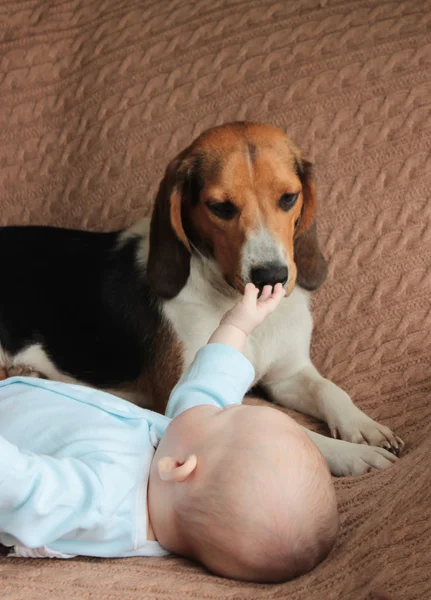 Pasgeboren baby en Estse hond liggend op de Bank — Stockfoto