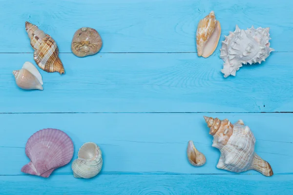 Surtido de conchas marinas sobre fondo de madera azul, disposición plana, copyspace — Foto de Stock