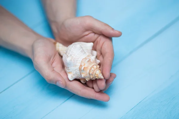 Los dedos masculinos sostienen una concha marina sobre fondo azul — Foto de Stock