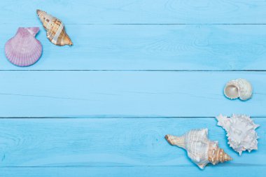 Mavi ahşap arka plan, düz üzerinde çeşitli deniz kabuklarını yatıyordu, boşaltmak