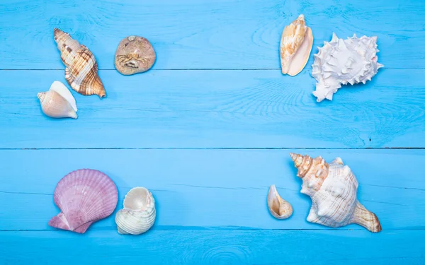 Surtido de conchas marinas sobre fondo de madera azul, disposición plana, copyspace — Foto de Stock