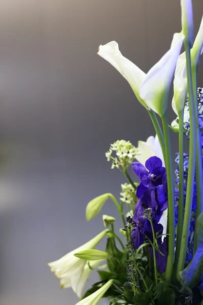 Mazzo di fiori blu e bianco, copiare spazio — Foto Stock