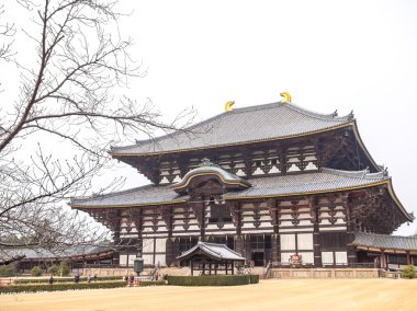 Todai ji Tapınağı