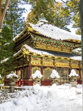 Toshogu tapınak Nikko, Japonya'da karmaşık yapı ahşap