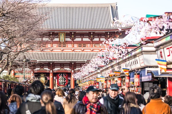 Hozomon gate civarındaki Asakusa, Tokyo