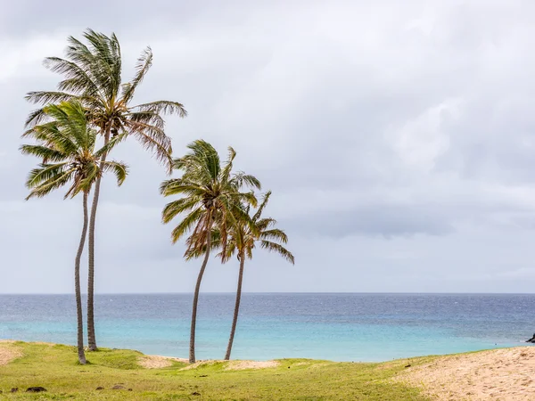 Magische Aussicht vom Strand von Anakena — Stockfoto