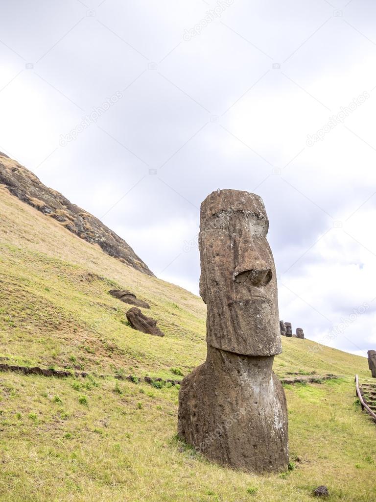 The Head of the Moai