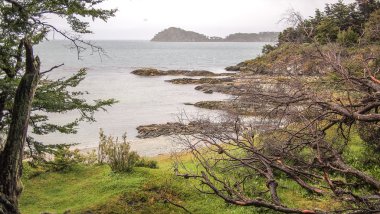 Bahia Ensenada sahil