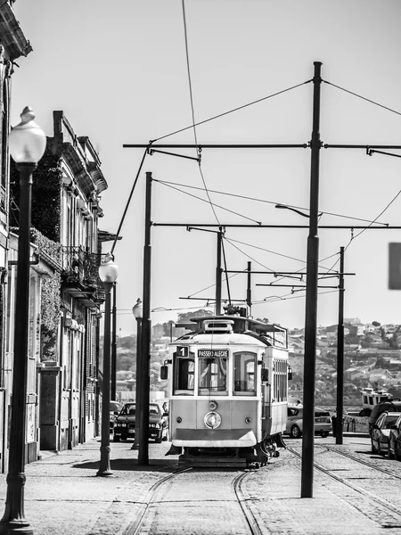 Τα τραμ στο Πόρτο — Φωτογραφία Αρχείου