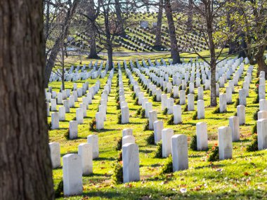 Arlington mezarlığı