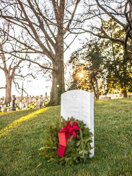 Памятная могила
