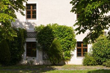 Yeşil Sarmaşık ve Tahta Pencereli Geleneksel Ev Cephesi