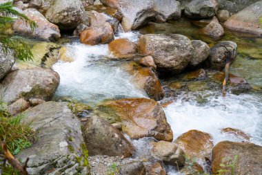 Kristal Temiz Dağ Akıntısı