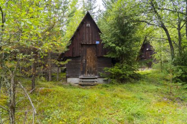 Ormandaki Kırsal Dağ Kulübesi