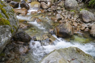 Kristal Temiz Dağ Akıntısı