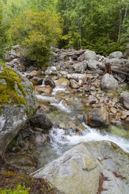 Kristal Temiz Dağ Akıntısı