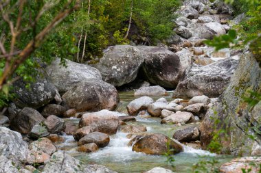 Kristal Temiz Dağ Akıntısı