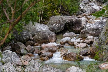 Kristal Temiz Dağ Akıntısı