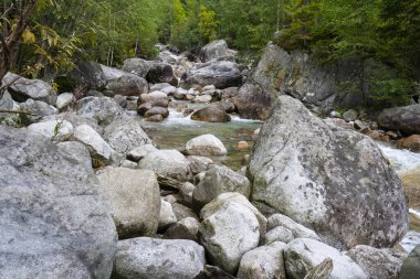 Kristal Temiz Dağ Akıntısı