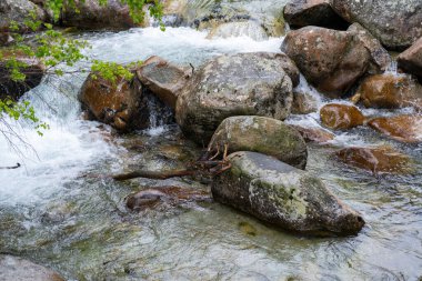 Kristal Temiz Dağ Akıntısı