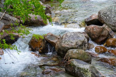 Kristal Temiz Dağ Akıntısı