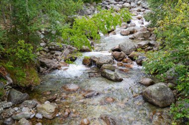 Kristal Temiz Dağ Akıntısı